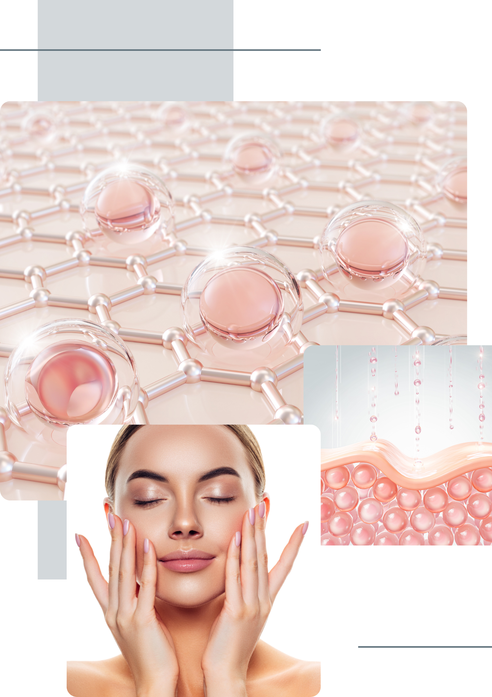 Image Title Alt Image